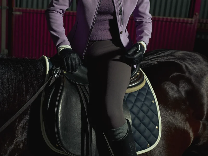 Illustration d'un détail de sellerie et de matériel d'équitation